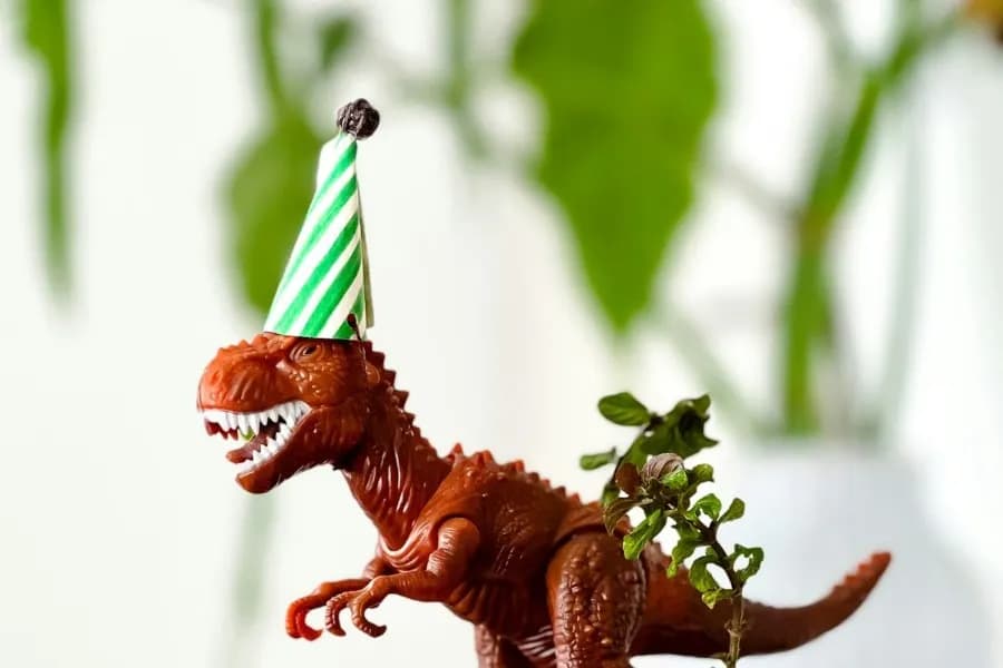 Jungle Family Club'da dino kechasi